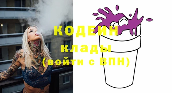твердый Богданович