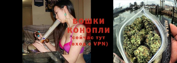 твердый Богданович
