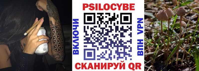 Галлюциногенные грибы GOLDEN TEACHER  Купить где  Макаров 